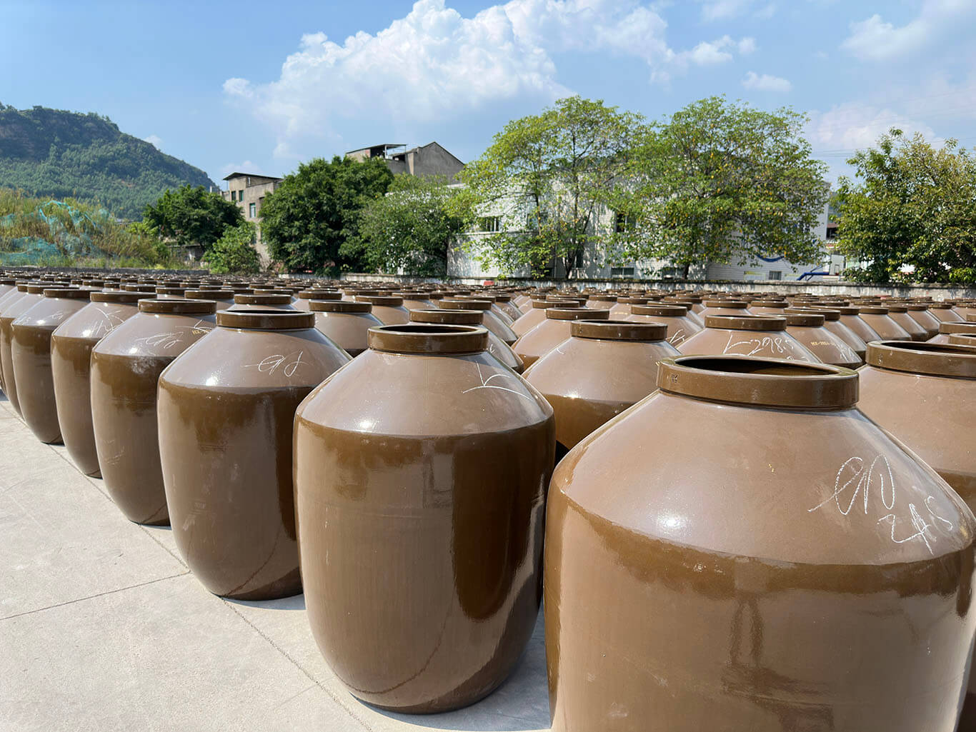 Hexin Wine Jars