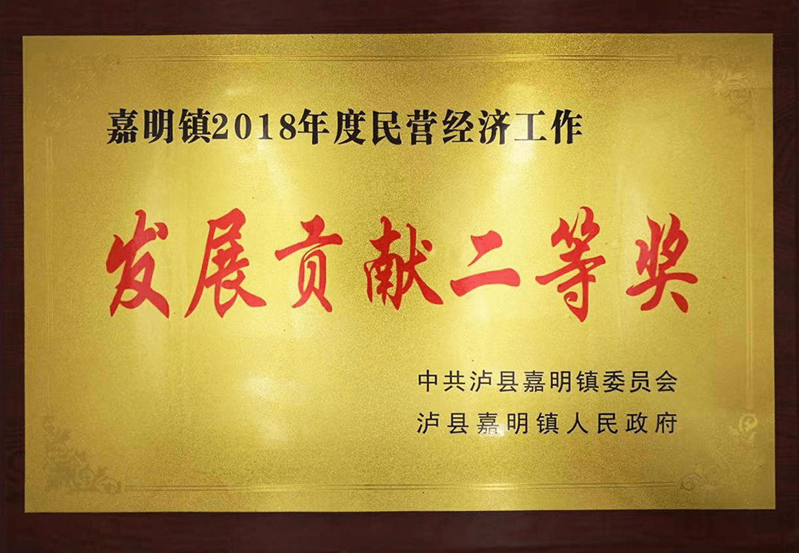 Second Prize For Development Contribution