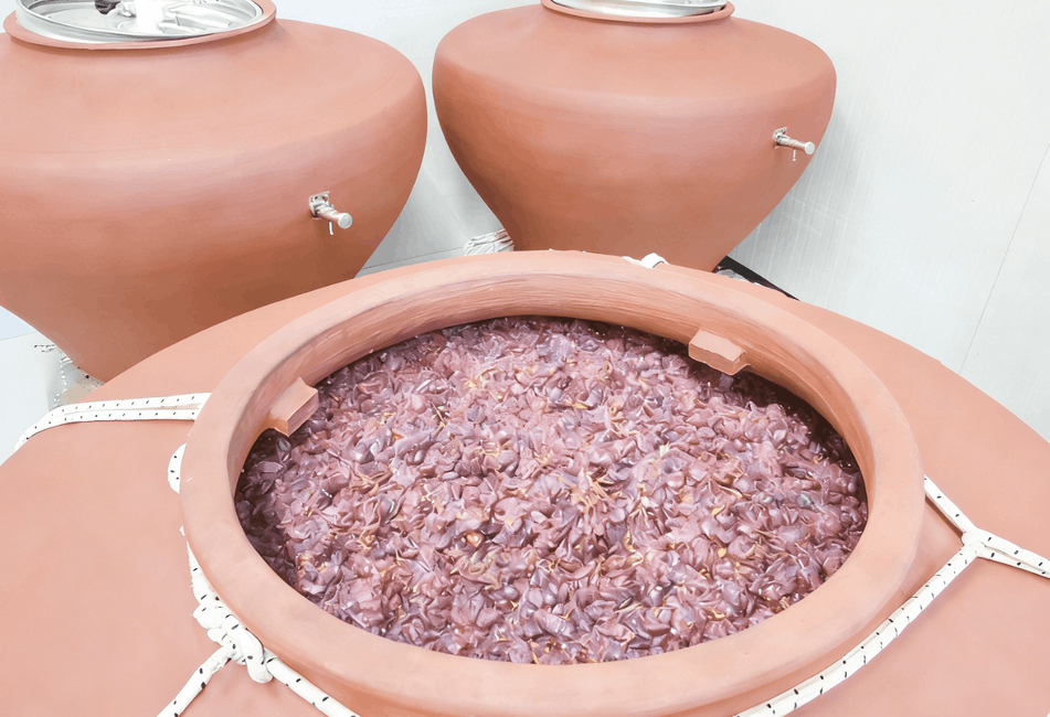 amphora aging for red wine fermentation