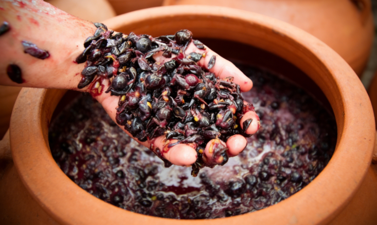 amphora wine fermentation process clay vessel