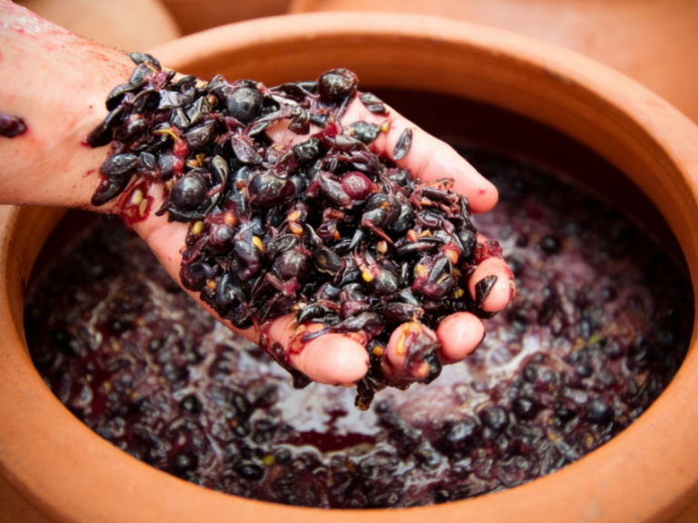 amphora wine fermentation process clay vessel