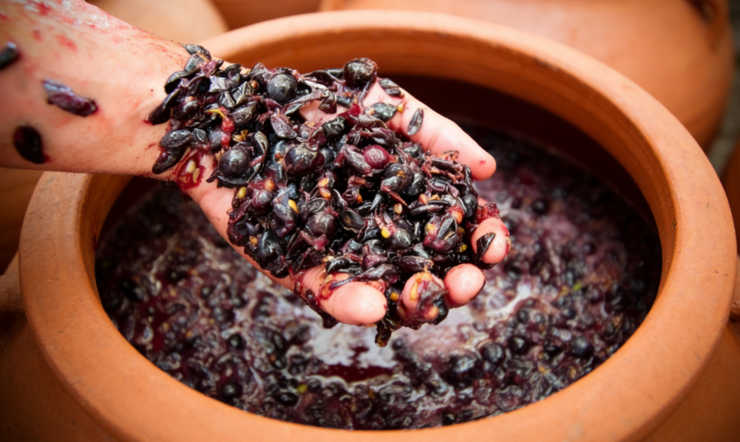 amphora wine fermentation process clay vessel