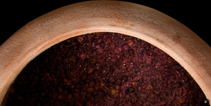 best grape varieties for Amphora Wine Fermentation