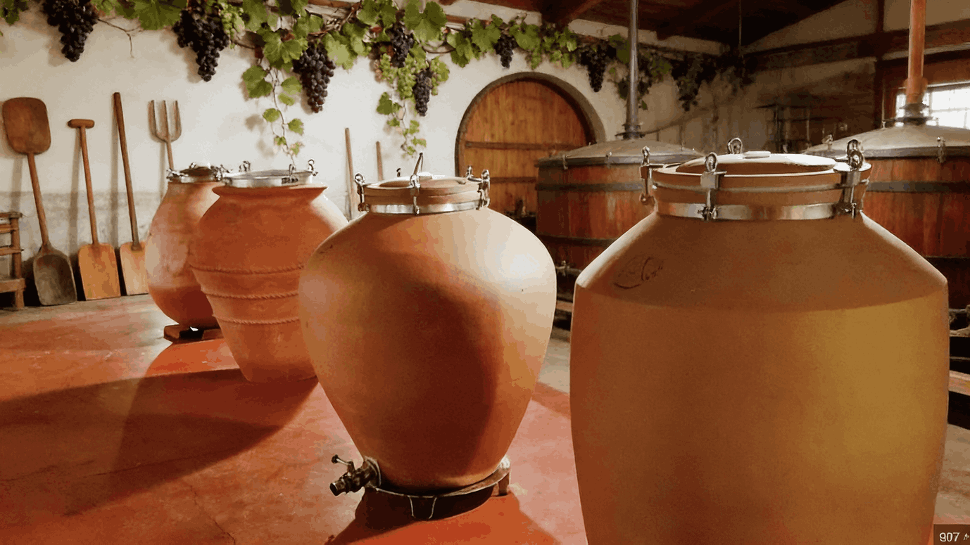clay amphora fermentation container used in winery to shape wine style and fermentation behavior