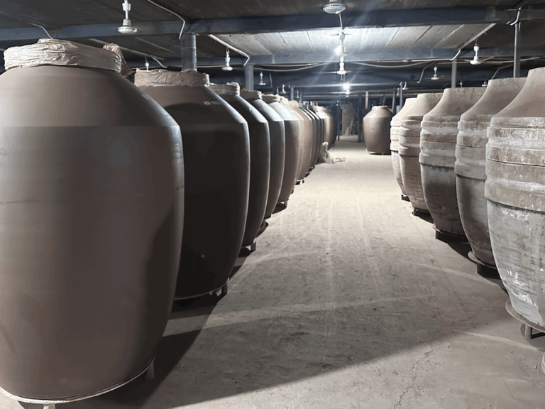 natural wine fermentation