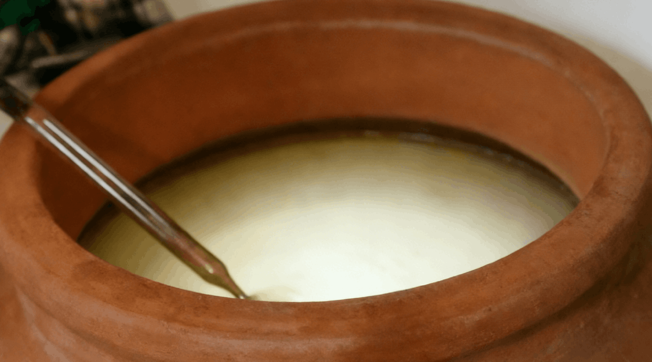 white wine fermentation in terracotta amphora